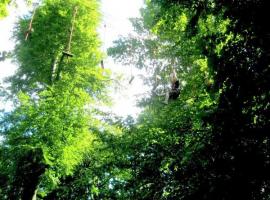 Stag do day activity